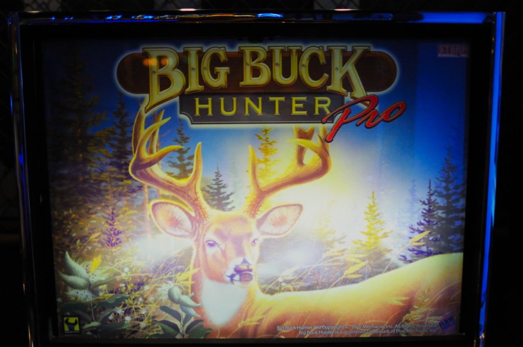 big_buck_hunter_pinball30.jpg