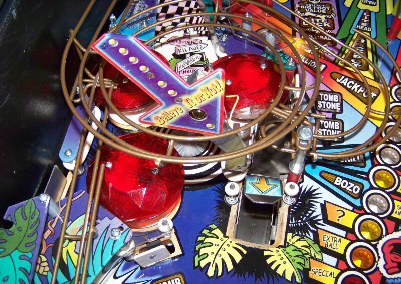 Ripley's Believe It Or Not Pinball By Stern 2004 - Phot Ripley's Believe It Or Not Pinball By Stern 2004 - Phot