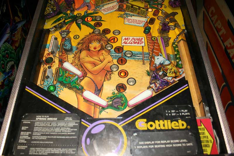 Spring Break Pinball By Gottlieb - Photo