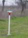 Photo Number 6