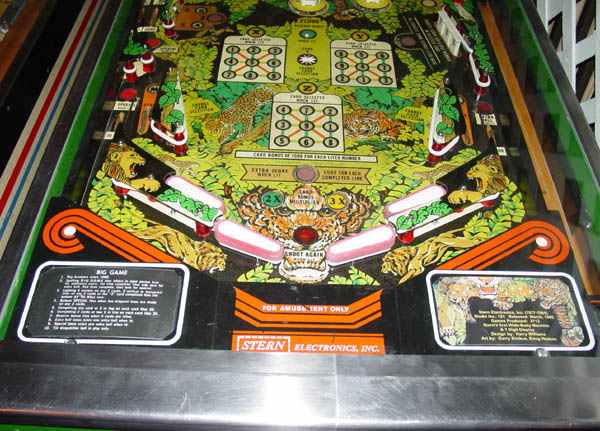 Big Game Pinball By Stern - Photo