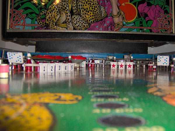 Cheetah Pinball - Image