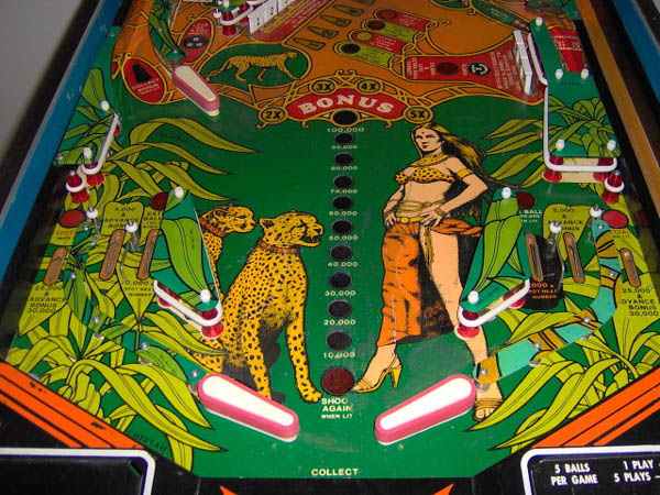 Cheetah Pinball - Image