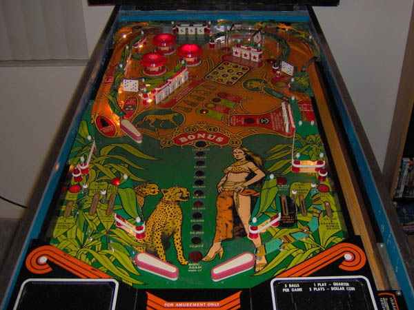 Cheetah Pinball - Image