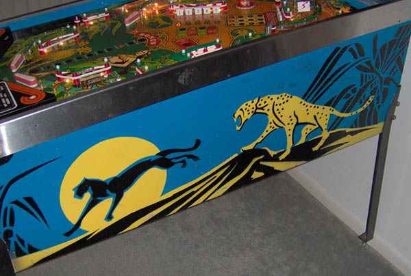 Cheetah Pinball - Image