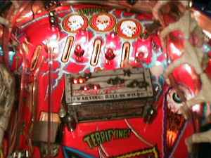 Scared Stiff - Pinball Machine Image