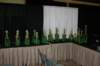 texas_pinball_festival_2009214_small.jpg