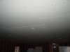 Photo Number 7