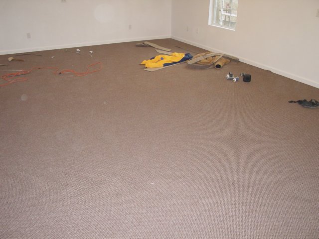 dsc00600.jpg