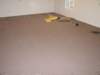 dsc00600_small.jpg