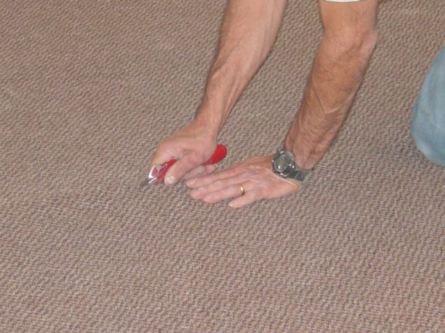 dsc00603.jpg