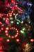 wizard_of_oz_limited_edition_pinball81_small.jpg