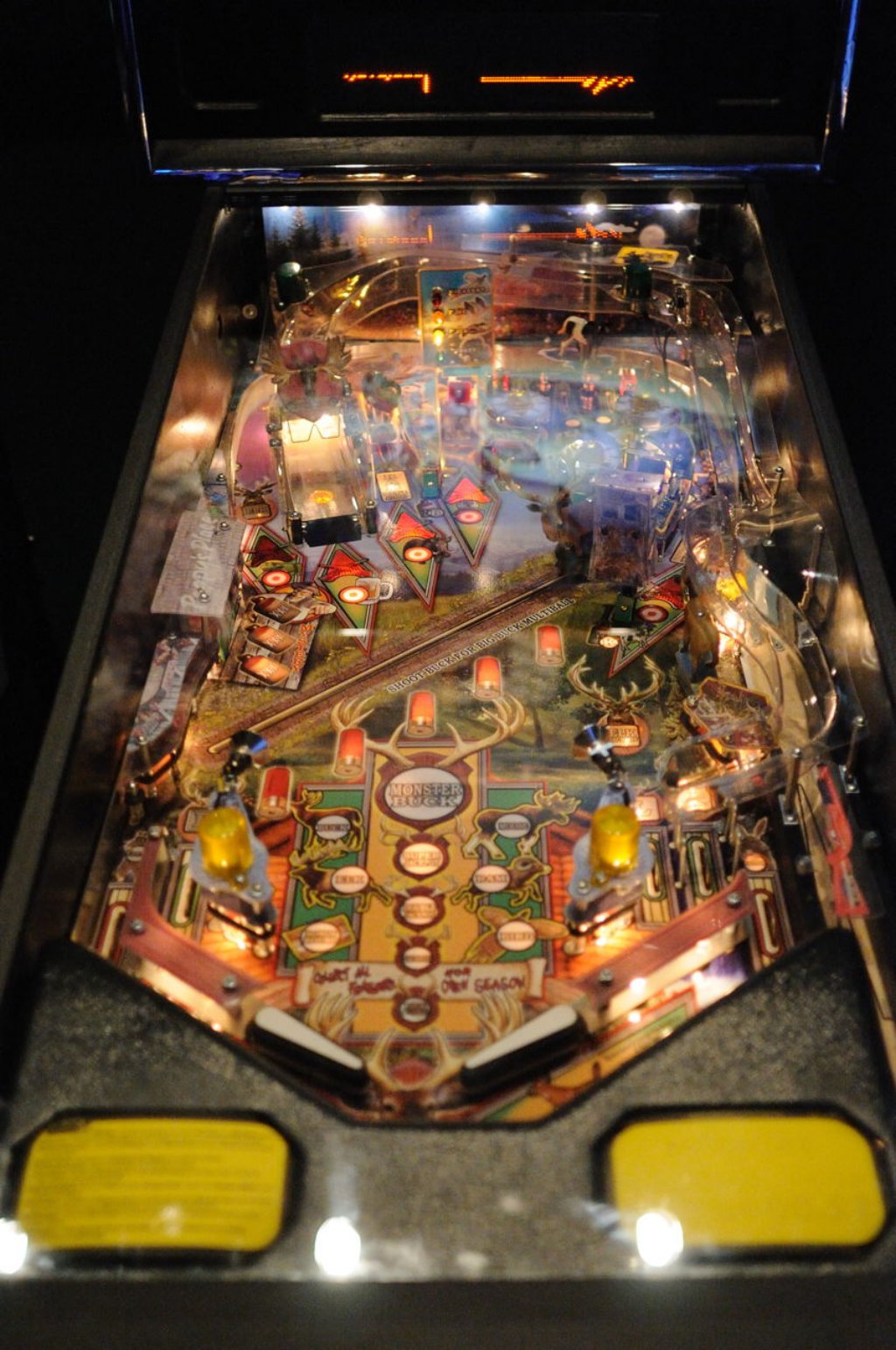 big_buck_hunter_pinball.jpg