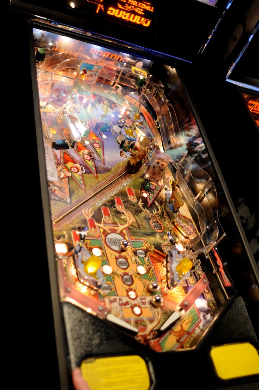 big_buck_hunter_pinball1.jpg