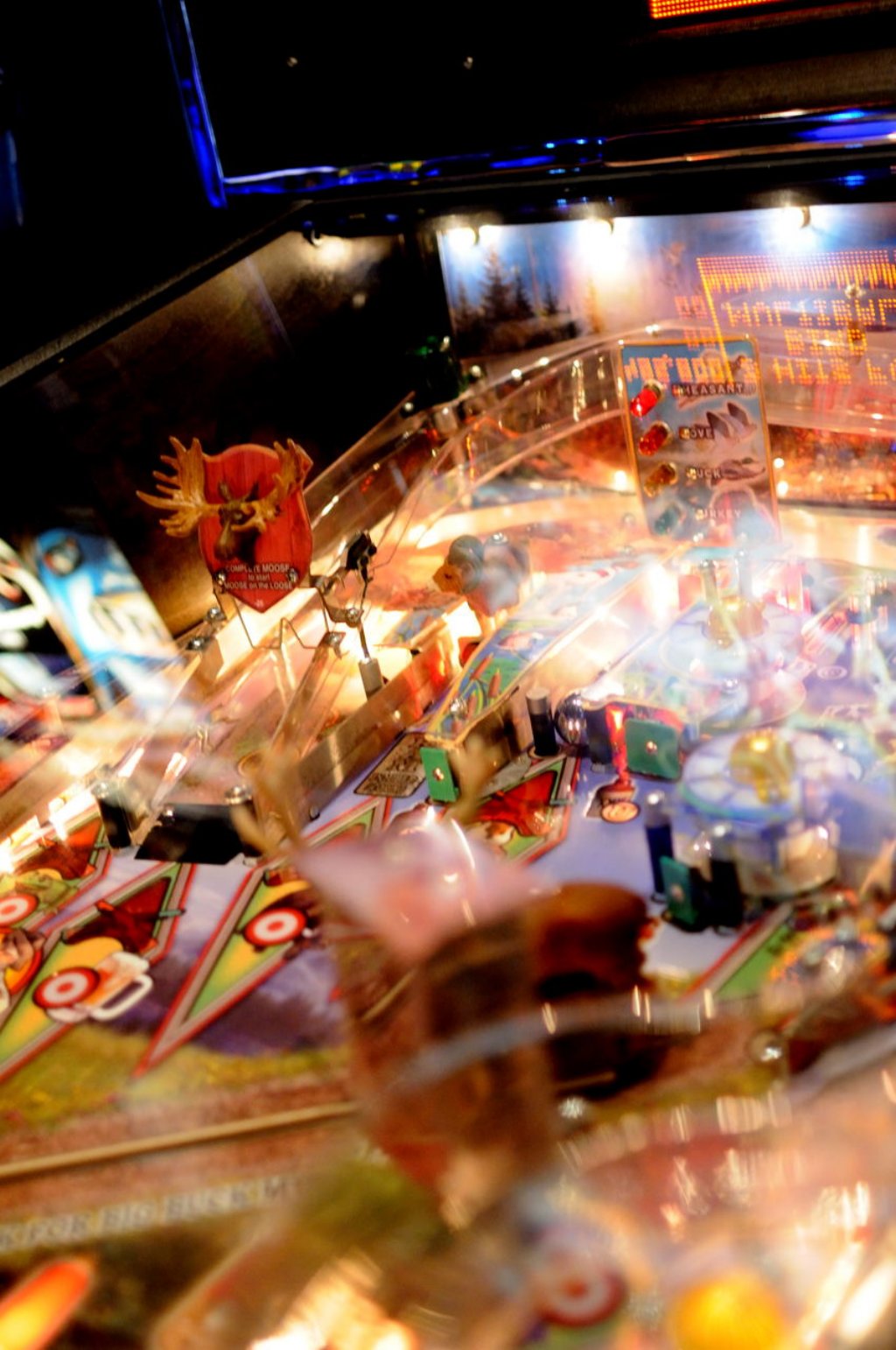 big_buck_hunter_pinball12.jpg