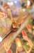 big_buck_hunter_pinball16_small.jpg