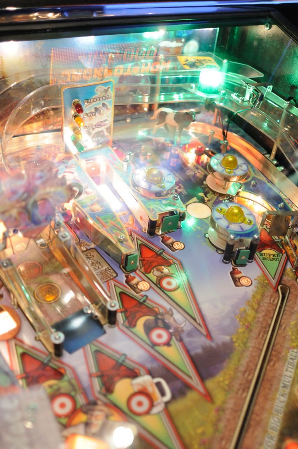 big_buck_hunter_pinball19.jpg
