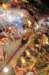 big_buck_hunter_pinball21_small.jpg