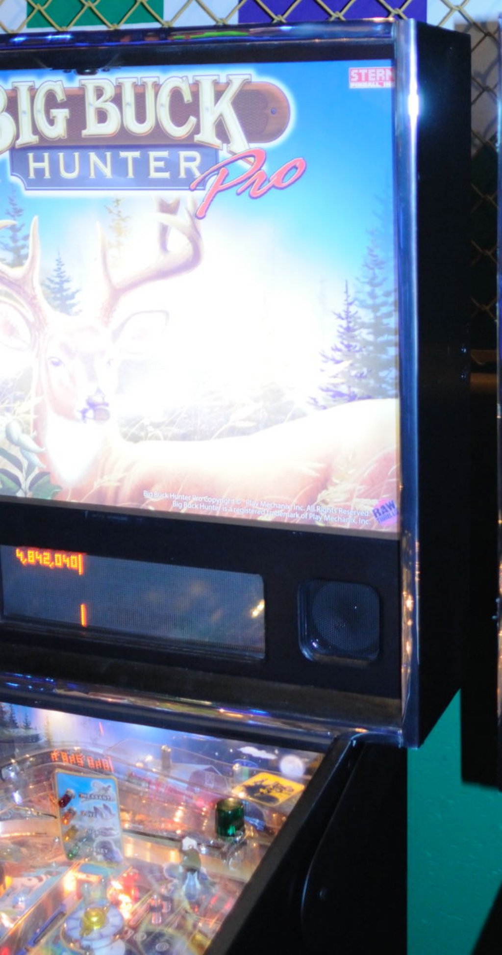 big_buck_hunter_pinball25.jpg
