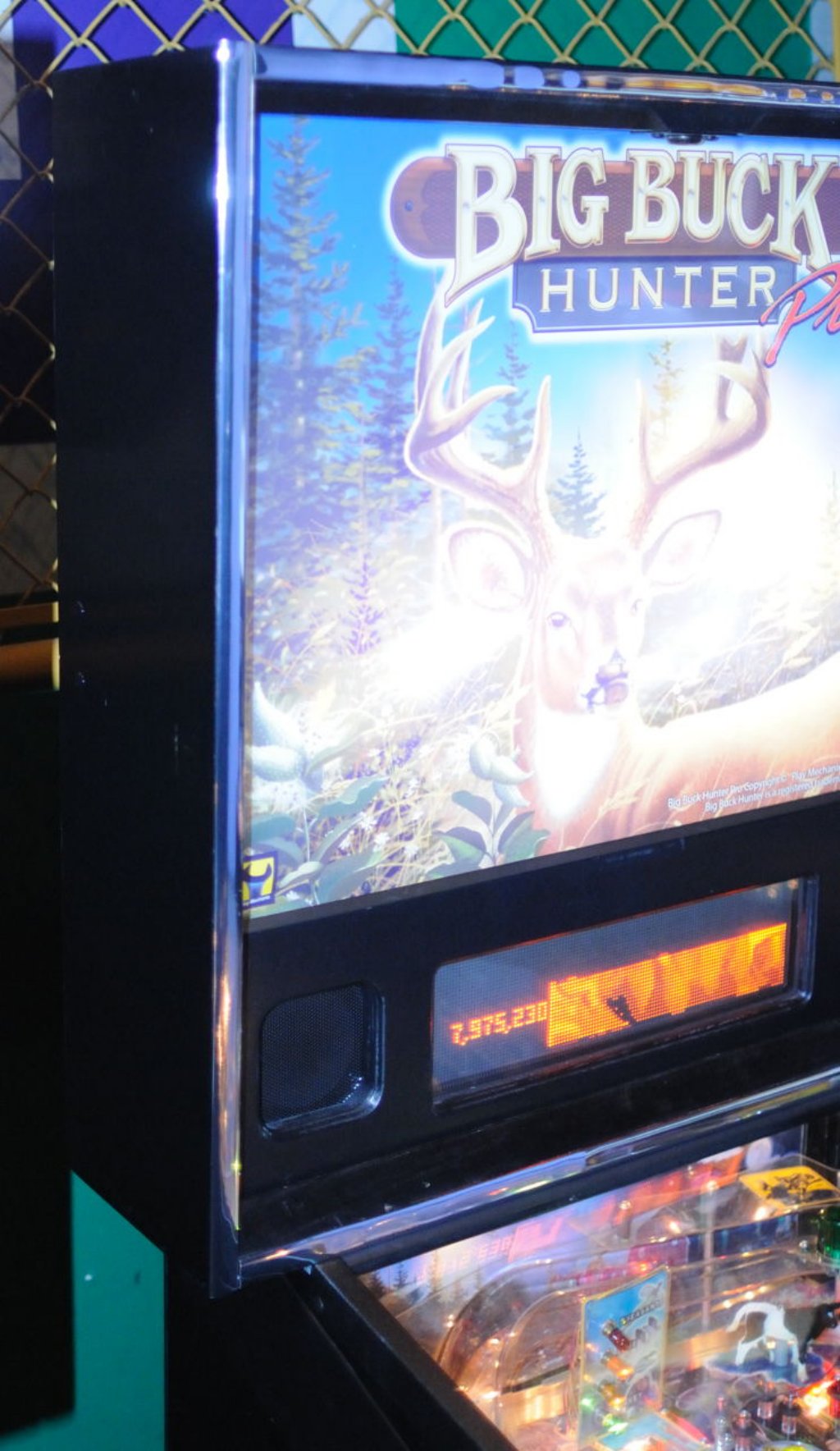 big_buck_hunter_pinball26.jpg