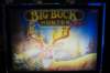 big_buck_hunter_pinball30_small.jpg