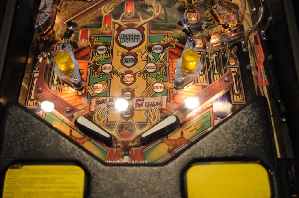 big_buck_hunter_pinball31.jpg