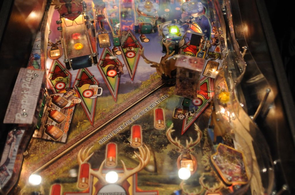 big_buck_hunter_pinball33.jpg