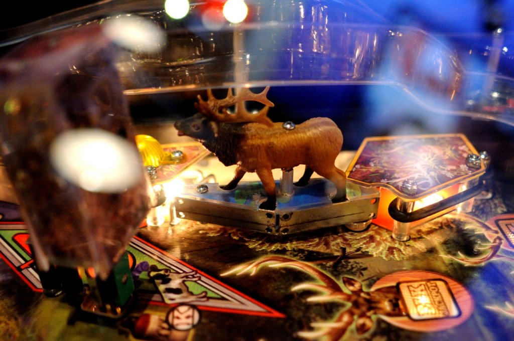 big_buck_hunter_pinball37.jpg