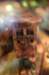 big_buck_hunter_pinball42_small.jpg