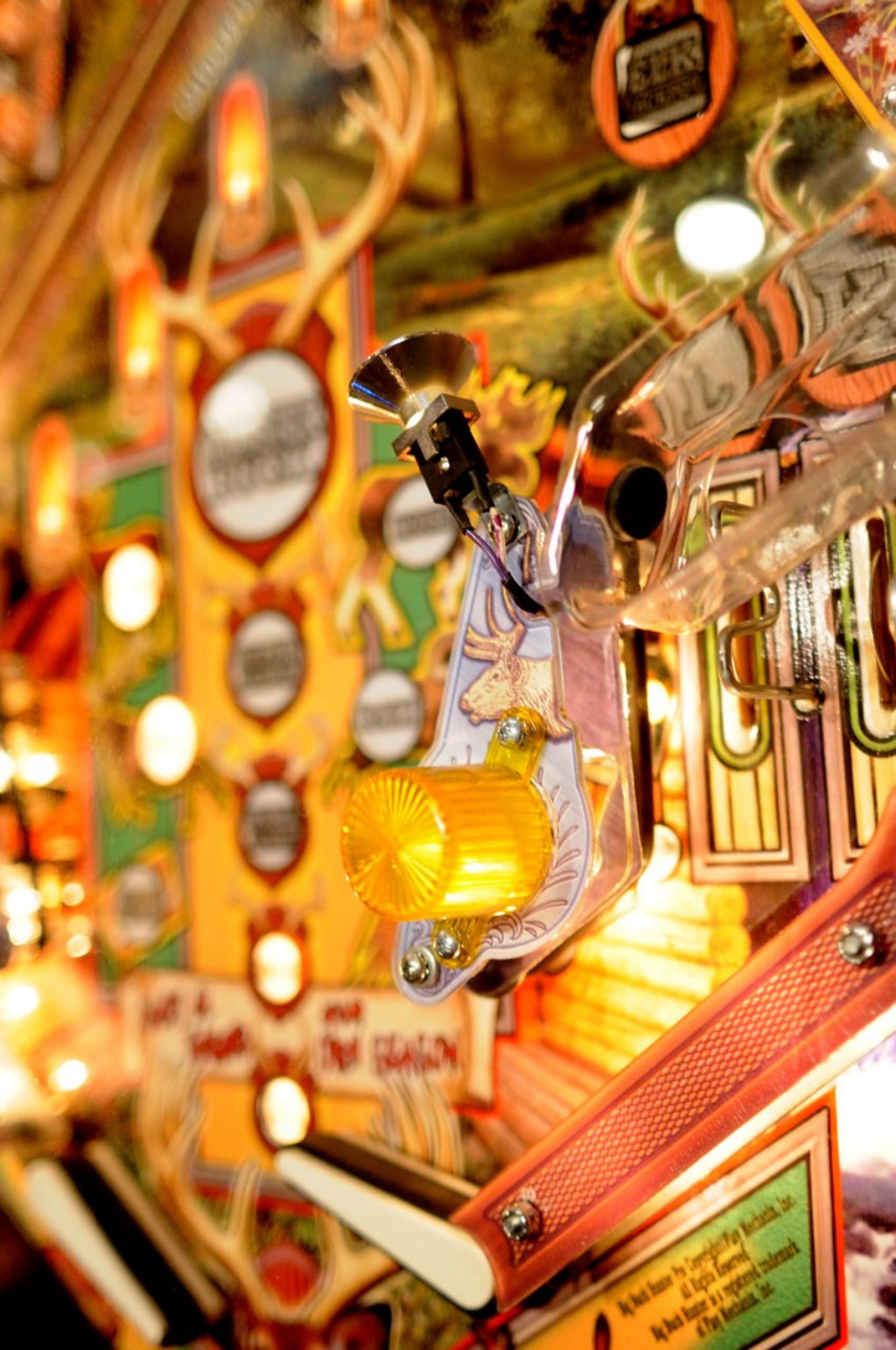 big_buck_hunter_pinball7.jpg